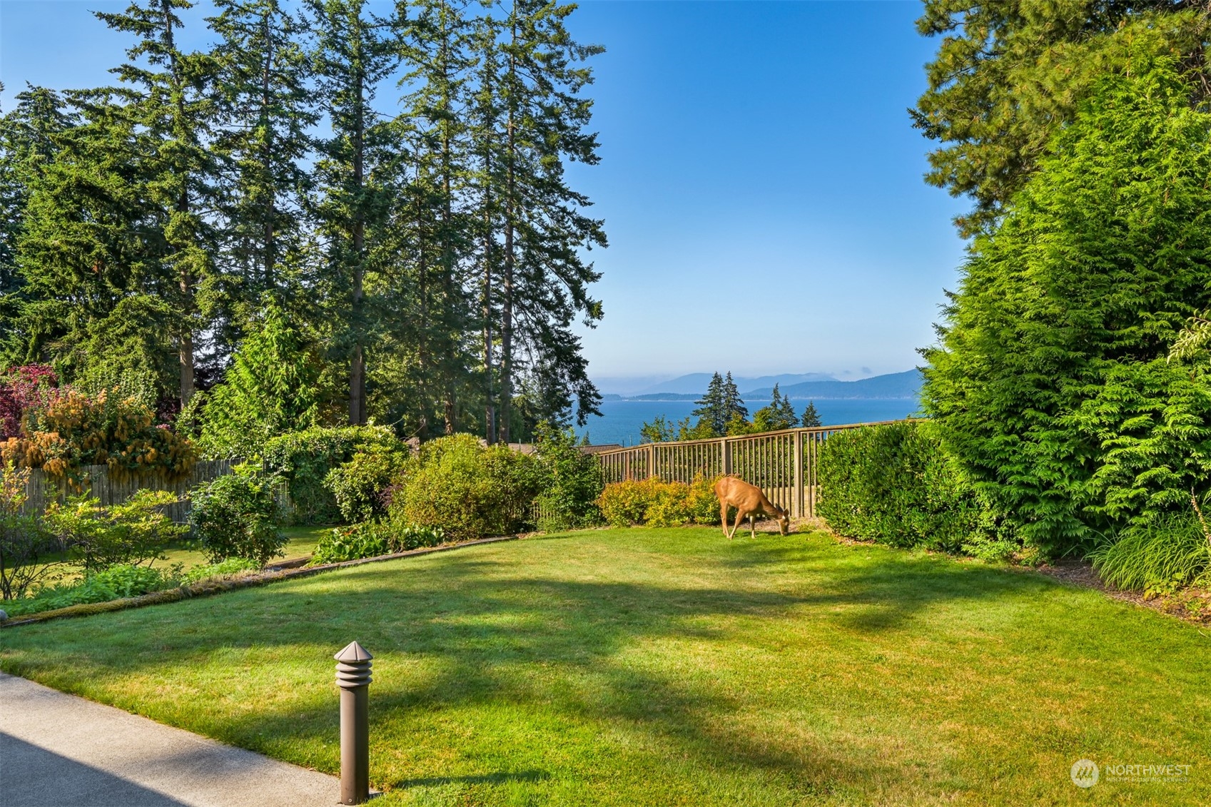 410 Fieldston Road Bellingham, WA 98225 - Photo 5 of 9 a view of a grassy field with trees