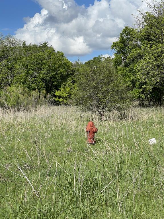 31 Julia Bangs, TX 76823 - Photo 2 of 12 a backyard of a house with lots of green space