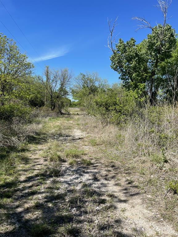 31 Julia Bangs, TX 76823 - Photo 6 of 12 a view of a field