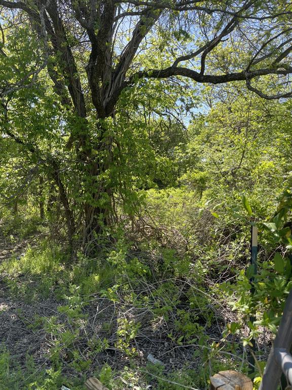 31 Julia Bangs, TX 76823 - Photo 8 of 12 a view of a yard