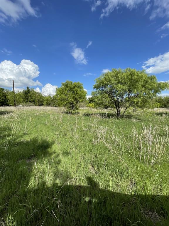 31 Julia Bangs, TX 76823 - Photo 9 of 12 a view of yard with green space