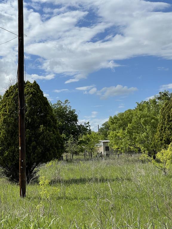 31 Julia Bangs, TX 76823 - Photo 10 of 12 a view of a garden