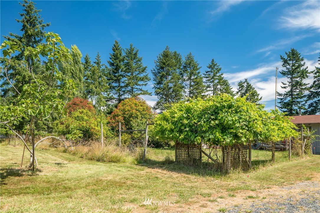 1237 Lopez Sound Road Lopez Island, WA 98261 - Photo 18 of 19