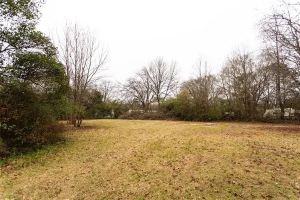 a street view with large trees