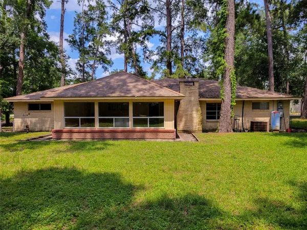 a view of a trees in a park