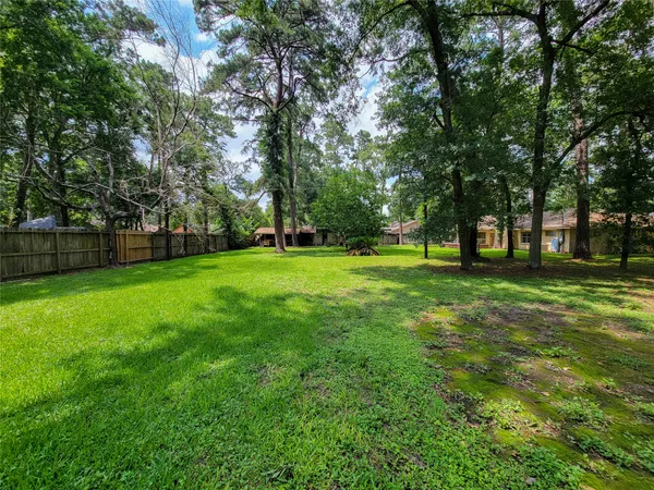 a view of a trees in a park