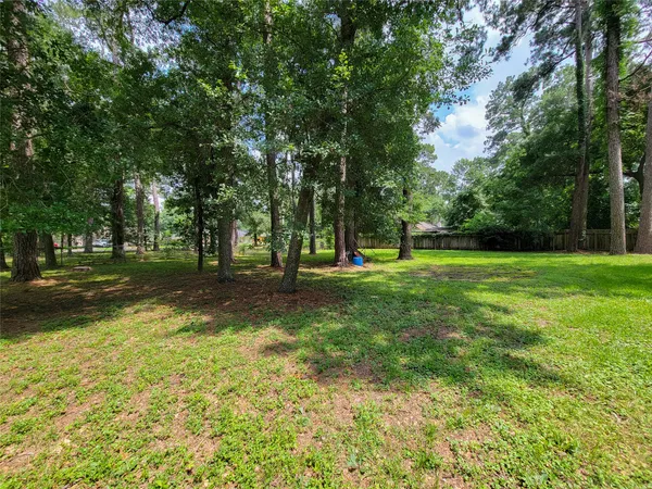 a view of a park with large trees