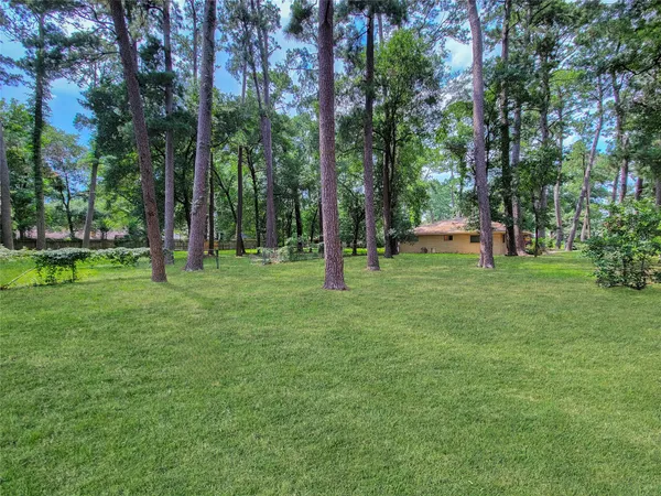 a view of park with trees