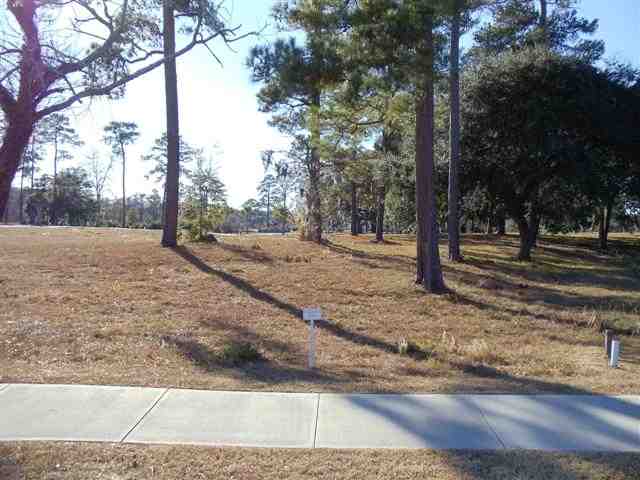 Lot 80 Rosebank Road Georgetown, SC 29440 - Photo 3 of 8