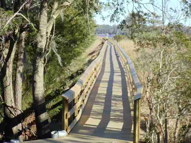 Lot 80 Rosebank Road Georgetown, SC 29440 - Photo 4 of 8