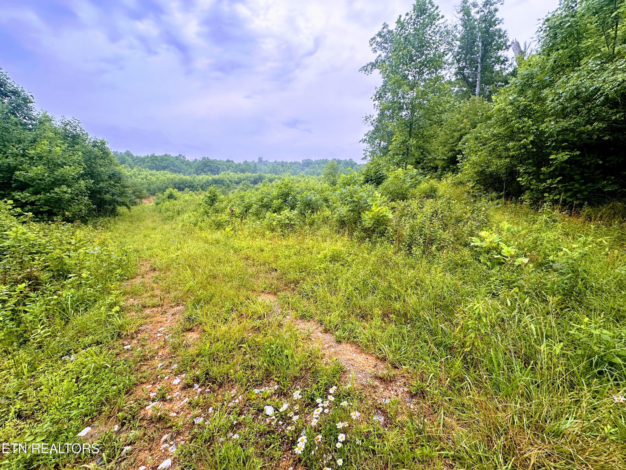 1344 Chestnut Ridge Road Allardt, TN 38504 - Photo 2 of 8