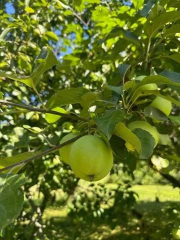 $689,999 | 967 Meadow Road, Casco, ME 04015