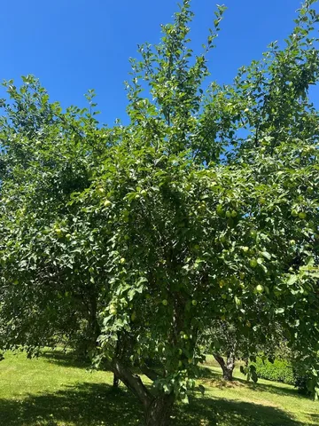 $689,999 | 967 Meadow Road, Casco, ME 04015