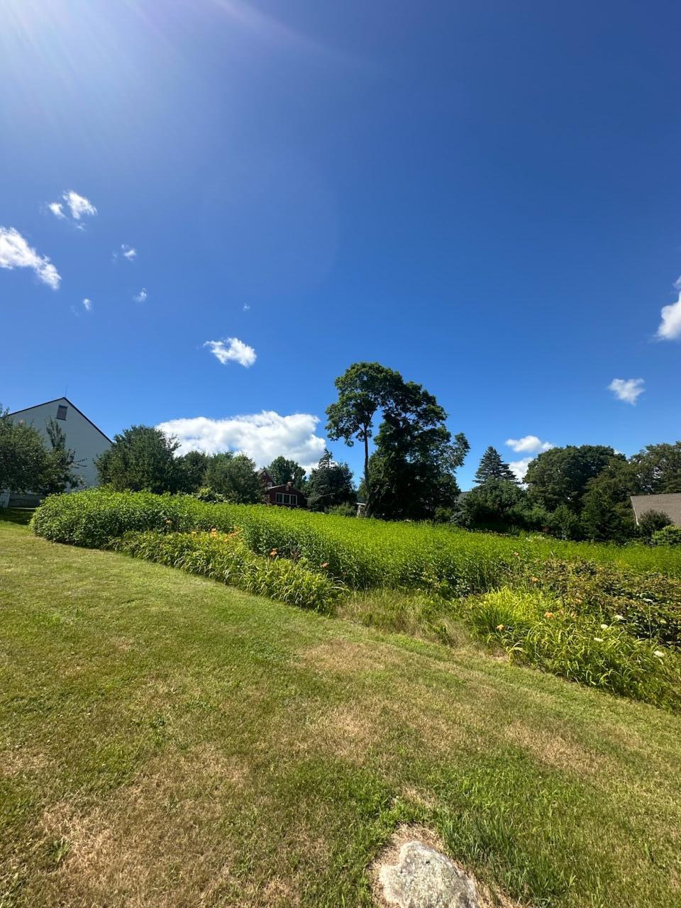 967 Meadow Road Casco, ME 04015 - Photo 6 of 32 IMG_0573