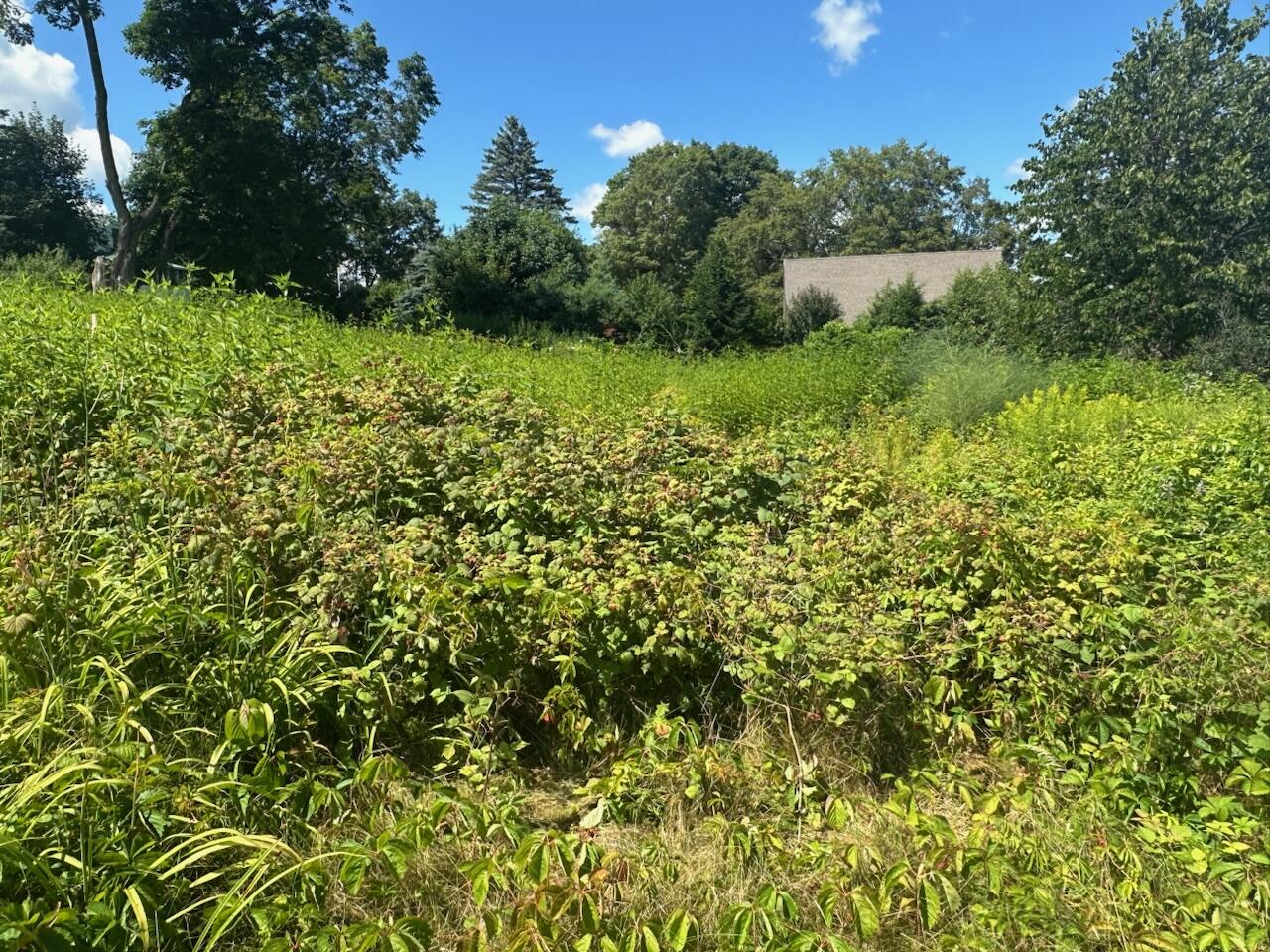 967 Meadow Road Casco, ME 04015 - Photo 9 of 32 IMG_0574