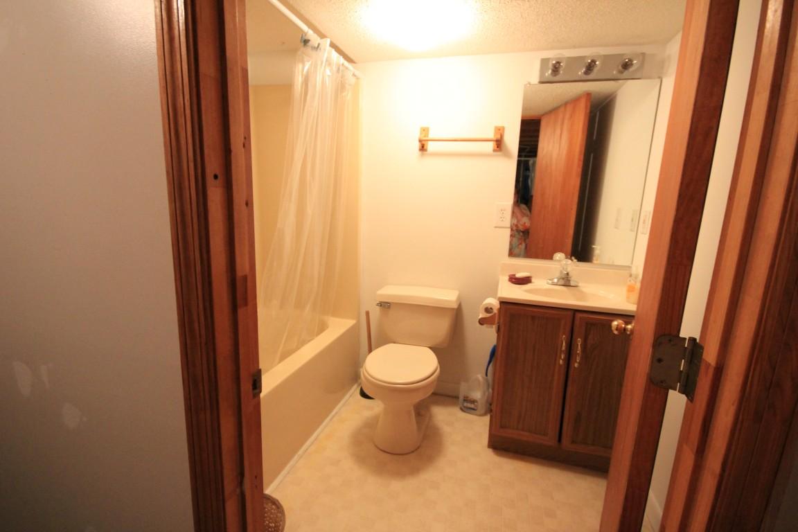 1134 Kings Hill Road, Unit 25 Spring City, TN 37381 - Photo 16 of 26 DOWNSTAIRS BATHROOM (Medium)