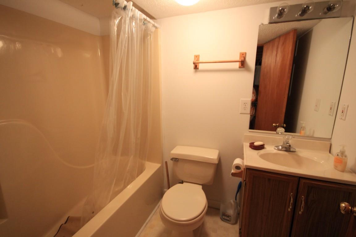 1134 Kings Hill Road, Unit 25 Spring City, TN 37381 - Photo 17 of 26 BASEMENT BATHROOM (Medium)