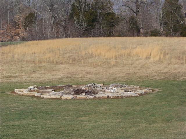 2012 Mosley Ferry Road Chapmansboro, TN 37035 - Photo 16 of 20 CURRENT OWNERS ENJOY THEIR FIREPIT.