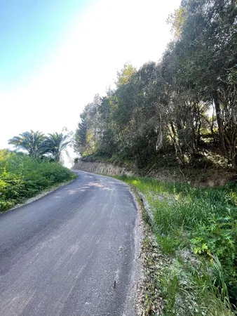 $5,999,999 | 5601 Freedom Boulevard, Aptos, CA 95003