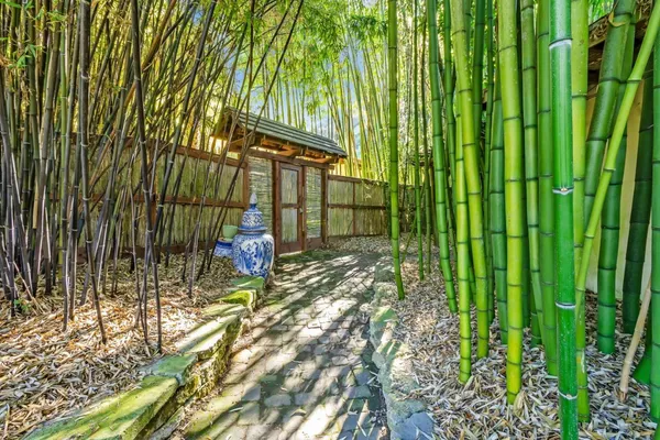 $5,999,999 | 5601 Freedom Boulevard, Aptos, CA 95003