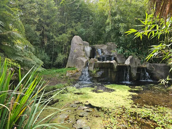 a backyard of a house with lots of green space and trees all around