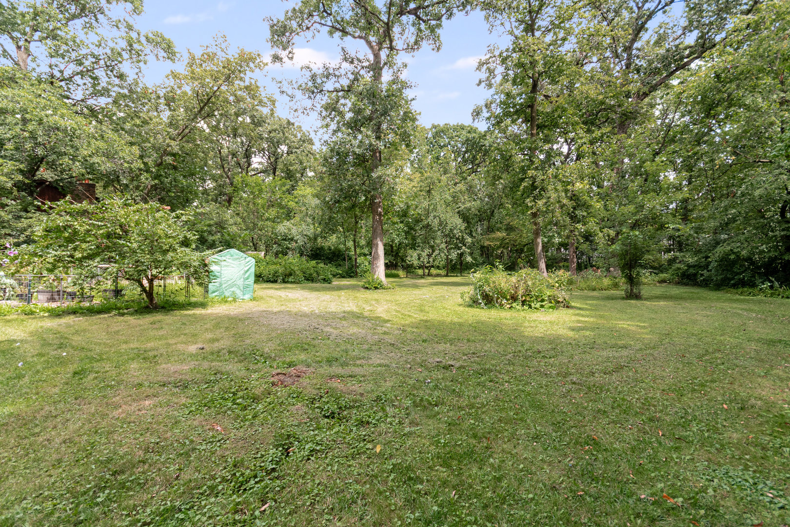 2340 Lisson Road Naperville, IL 60565 - Photo 17 of 50