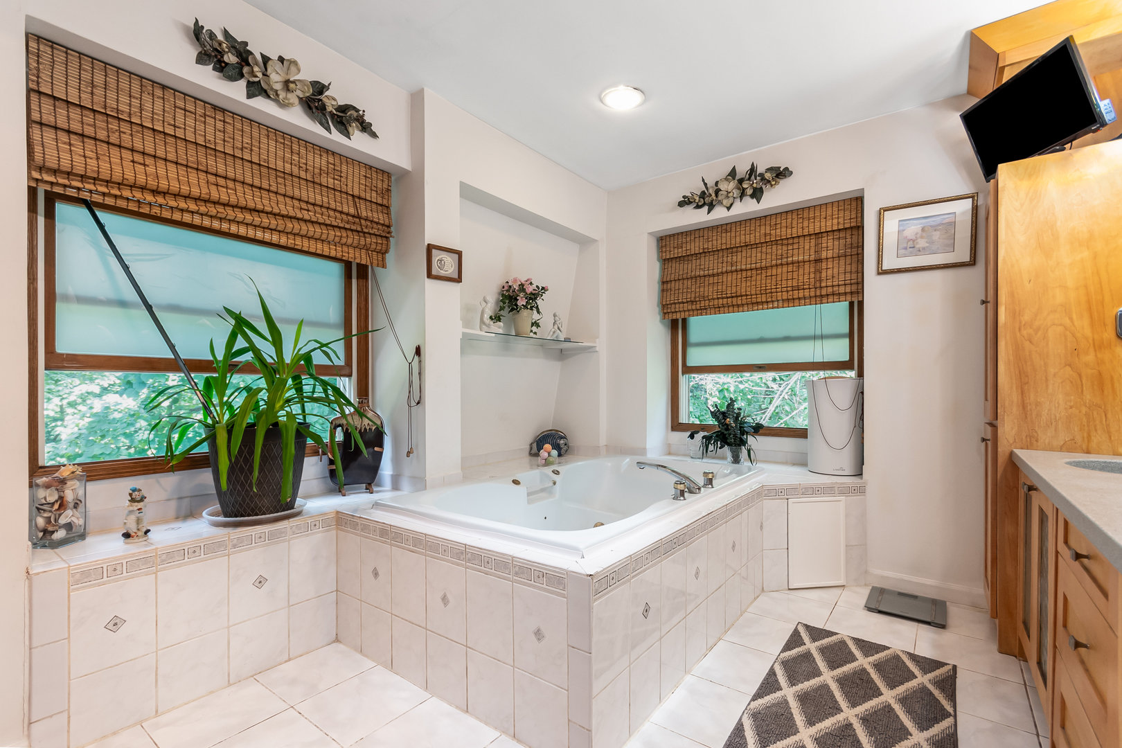 2340 Lisson Road Naperville, IL 60565 - Photo 21 of 50