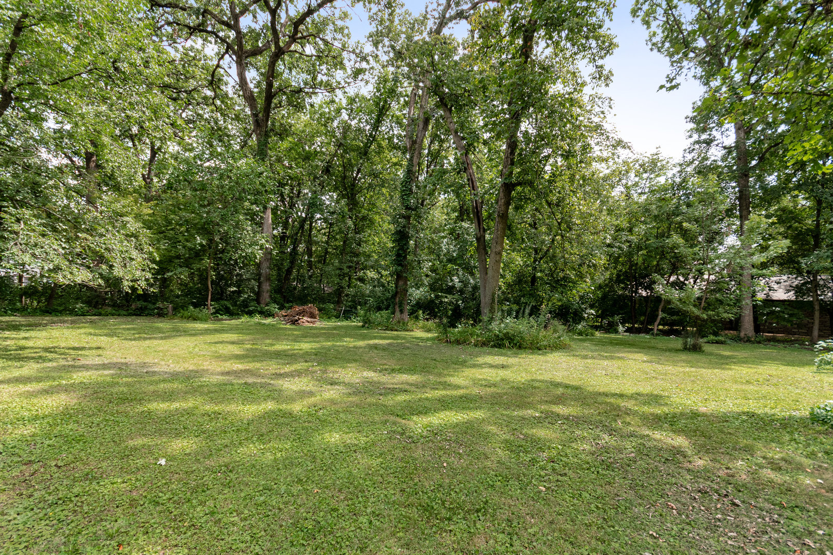 2340 Lisson Road Naperville, IL 60565 - Photo 30 of 50