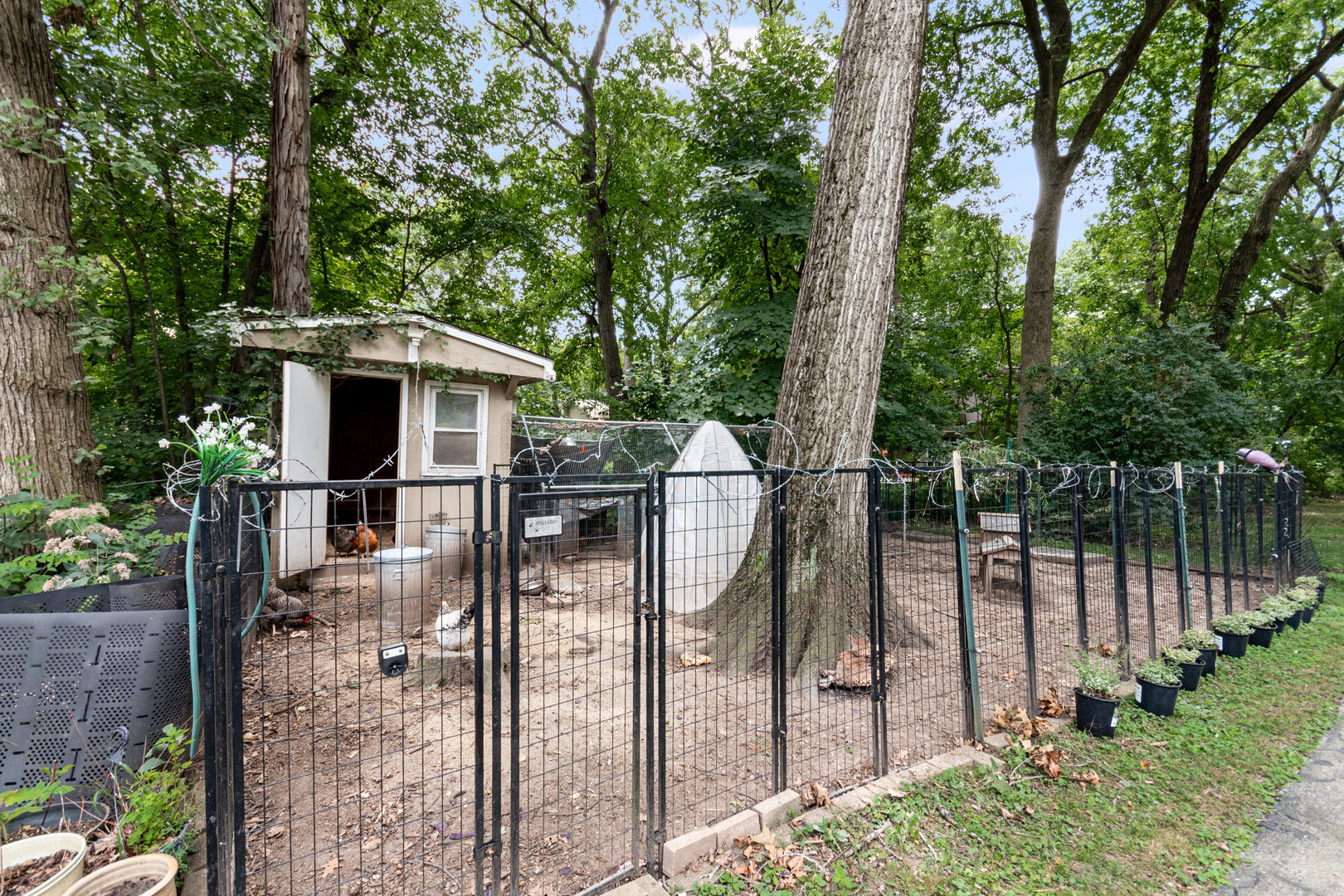 2340 Lisson Road Naperville, IL 60565 - Photo 32 of 50