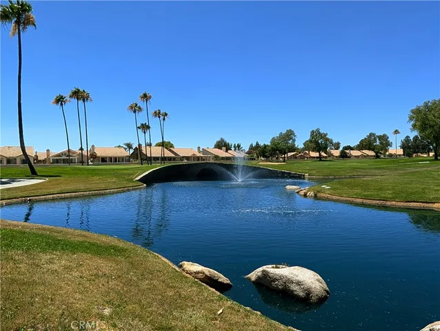 a view of a backyard with plants and lake view