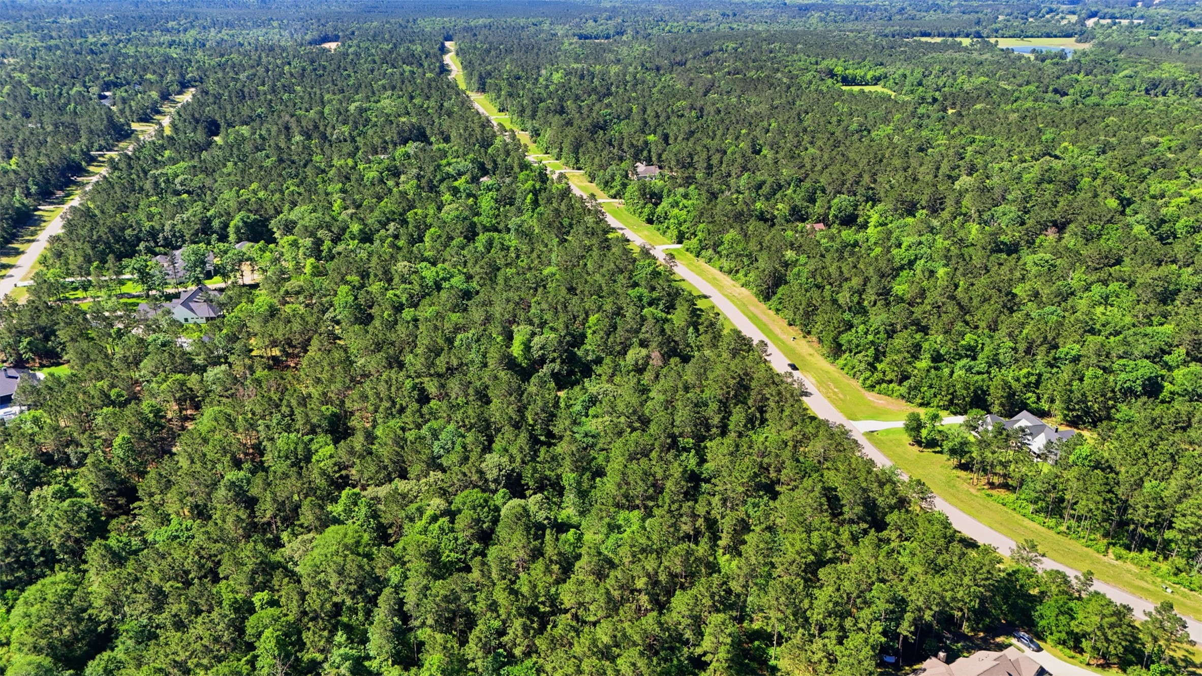 15779 Republic Ranch Road North Willis, TX 77378 - Photo 15 of 19
