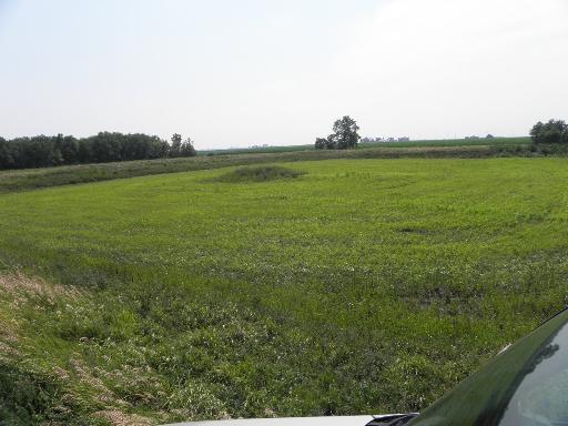 2956 North 18th Road Ransom, IL 60470 - Photo 8 of 8