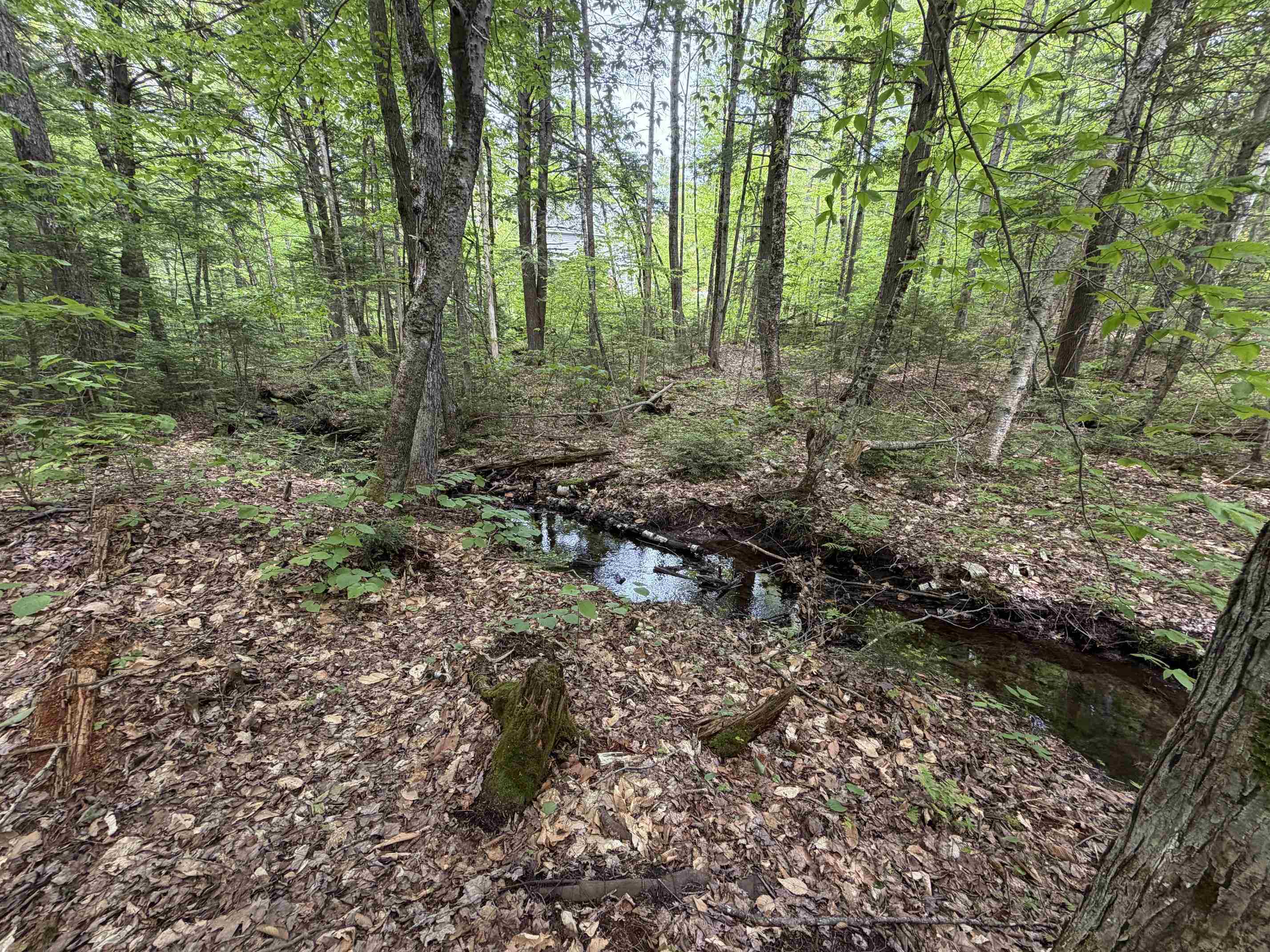 146 Bell Valley Road Campton, NH 03223 - Photo 36 of 47