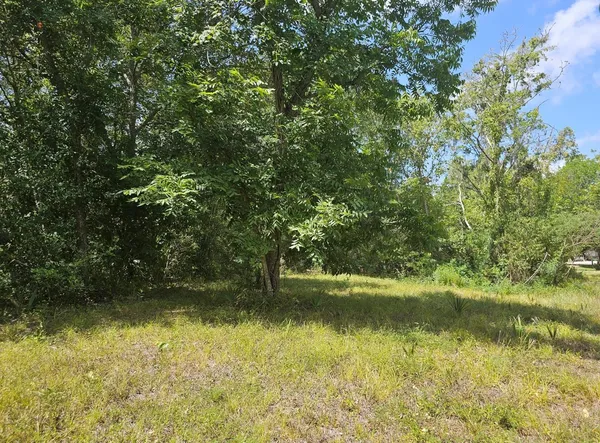 $270,000 | Tbd Tbd Cr-825e, West Columbia, TX 77486