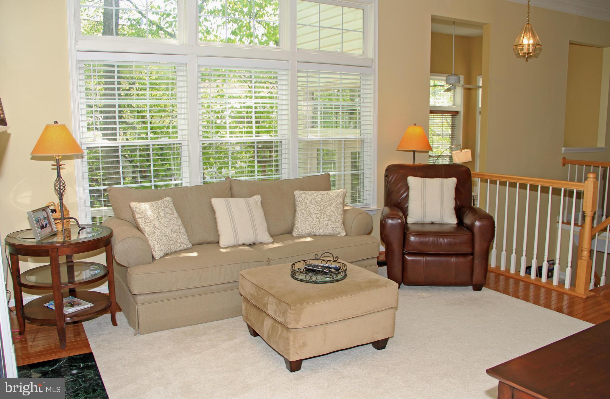 47551 Rippling Drive Sterling, VA 20165 - Photo 11 of 30 Cozy Gas Fireplace