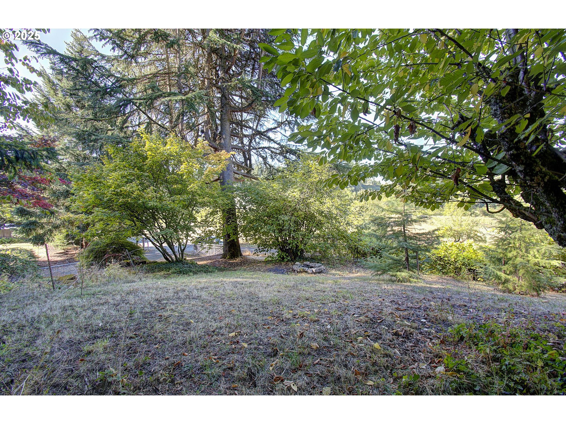 5911 Alki Road Vancouver, WA 98663 - Photo 27 of 29 a view of a yard with a tree