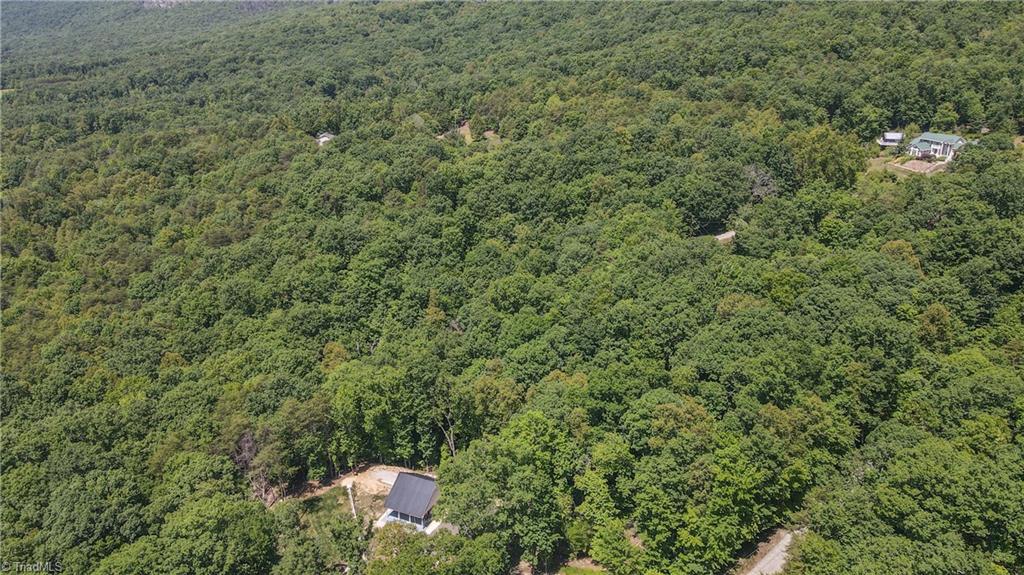 1325 Doyle Cromer Road King, NC 27021 - Photo 23 of 38