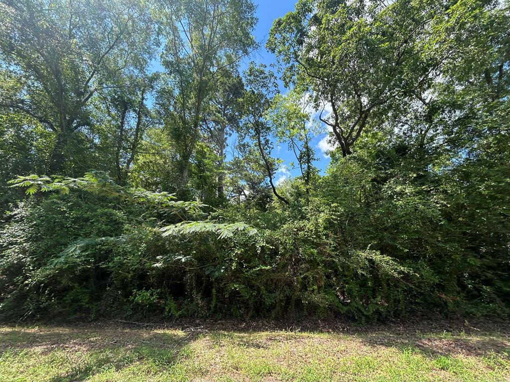 Lot 5-3 -ac Cty Road Newville, AL 36353 - Photo 6 of 13