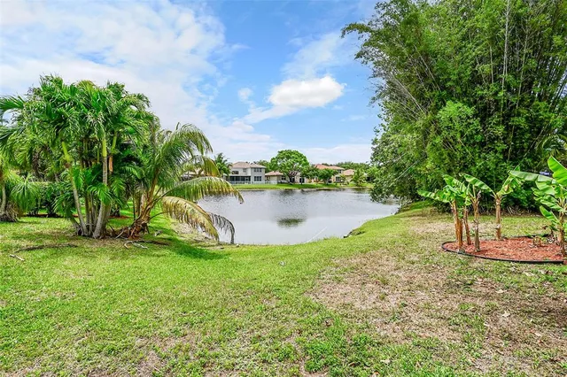 a view of a garden with a slide