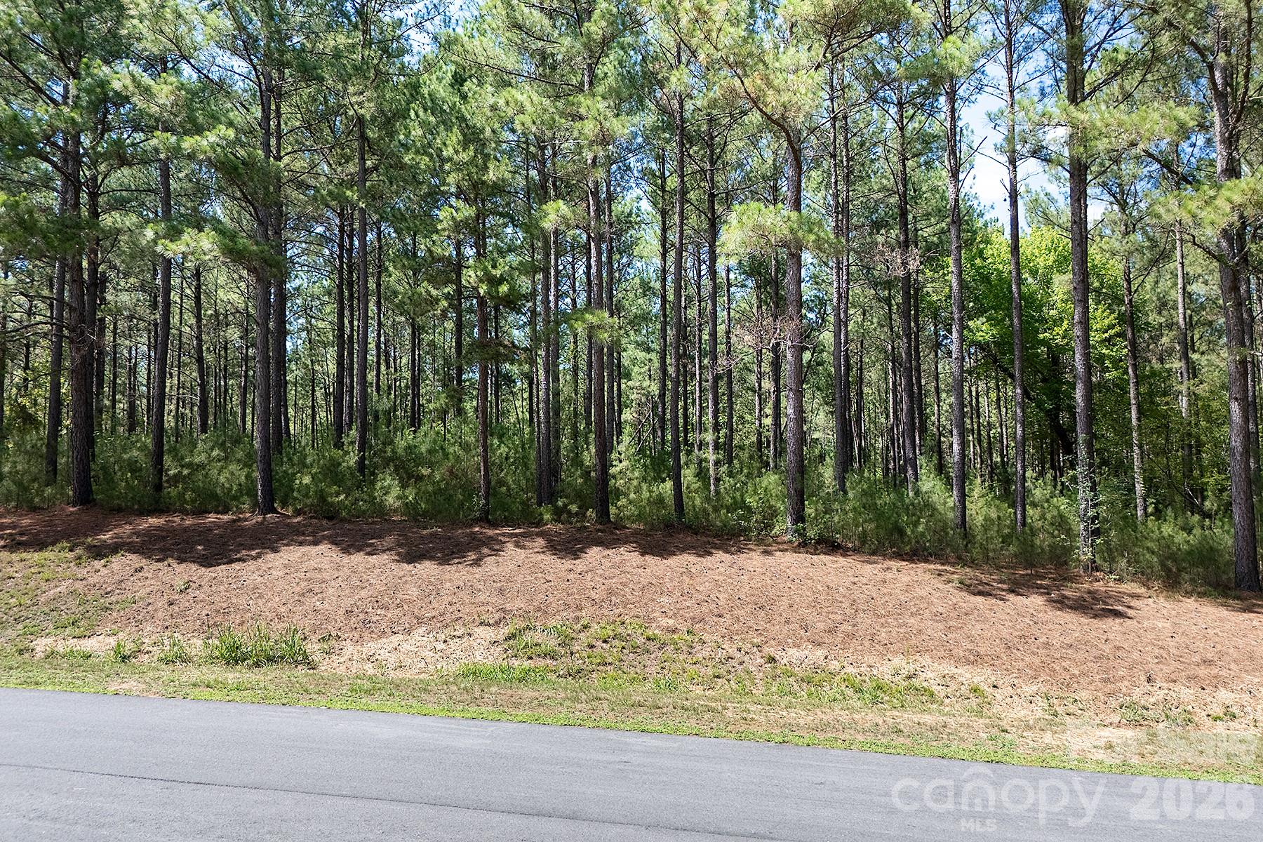 168 PLANTATION Way Mount Gilead, NC 27306 - Photo 10 of 14