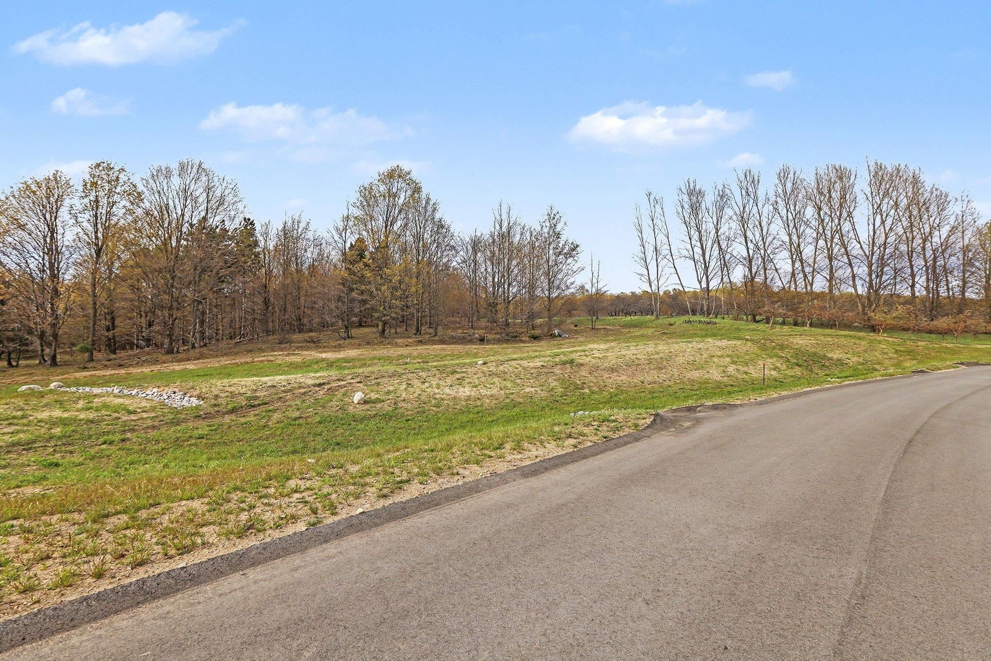 Parcel 8 Karnes Road, Unit LOT: 8 Empire, MI 49636 - Photo 1 of 7
