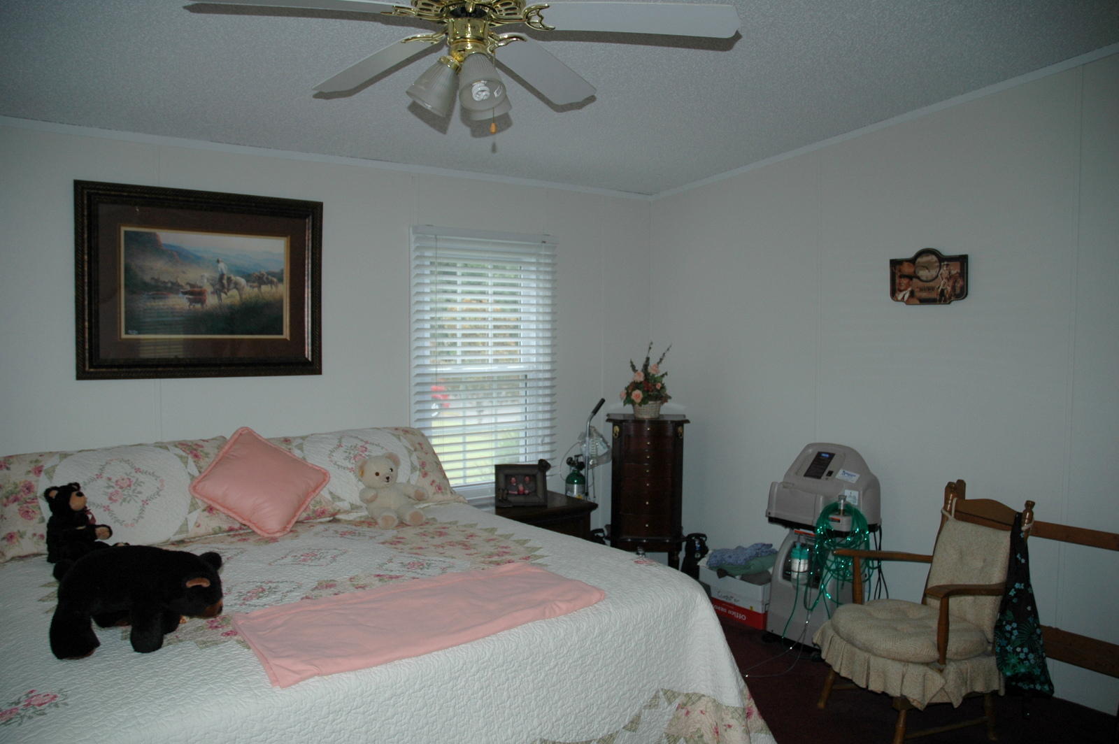619 Morie Road Dandridge, TN 37725 - Photo 29 of 36 29-DSC_6225
