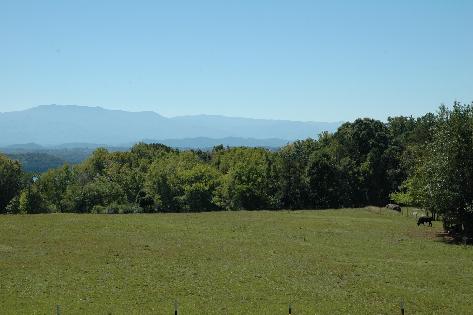 619 Morie Road Dandridge, TN 37725 - Photo 35 of 36 35-DSC_6232