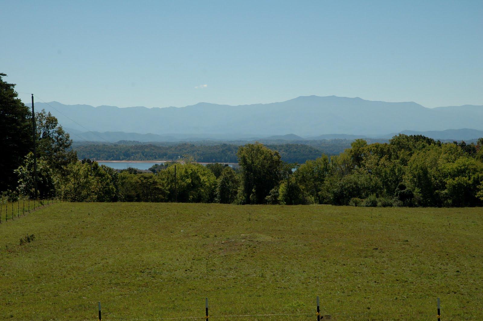 619 Morie Road Dandridge, TN 37725 - Photo 36 of 36 36-DSC_6231