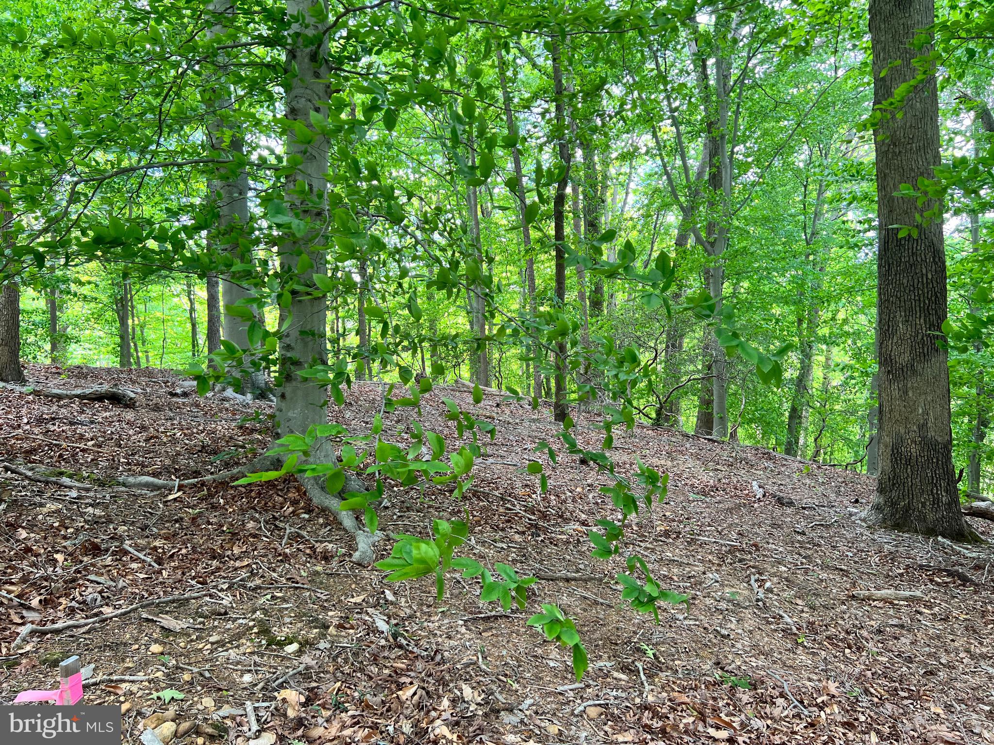Old Colchester Road Lorton, VA 22079 - Photo 17 of 41 Gallery Image 17
