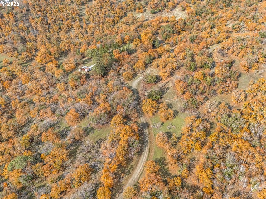11926 Blackwell Road Central Point, OR 97502 - Photo 9 of 18 a close up of a plant