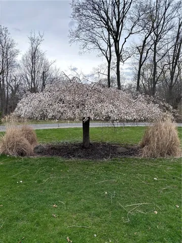 $497,700 | 556 Main Street, Ledyard, NY 13026