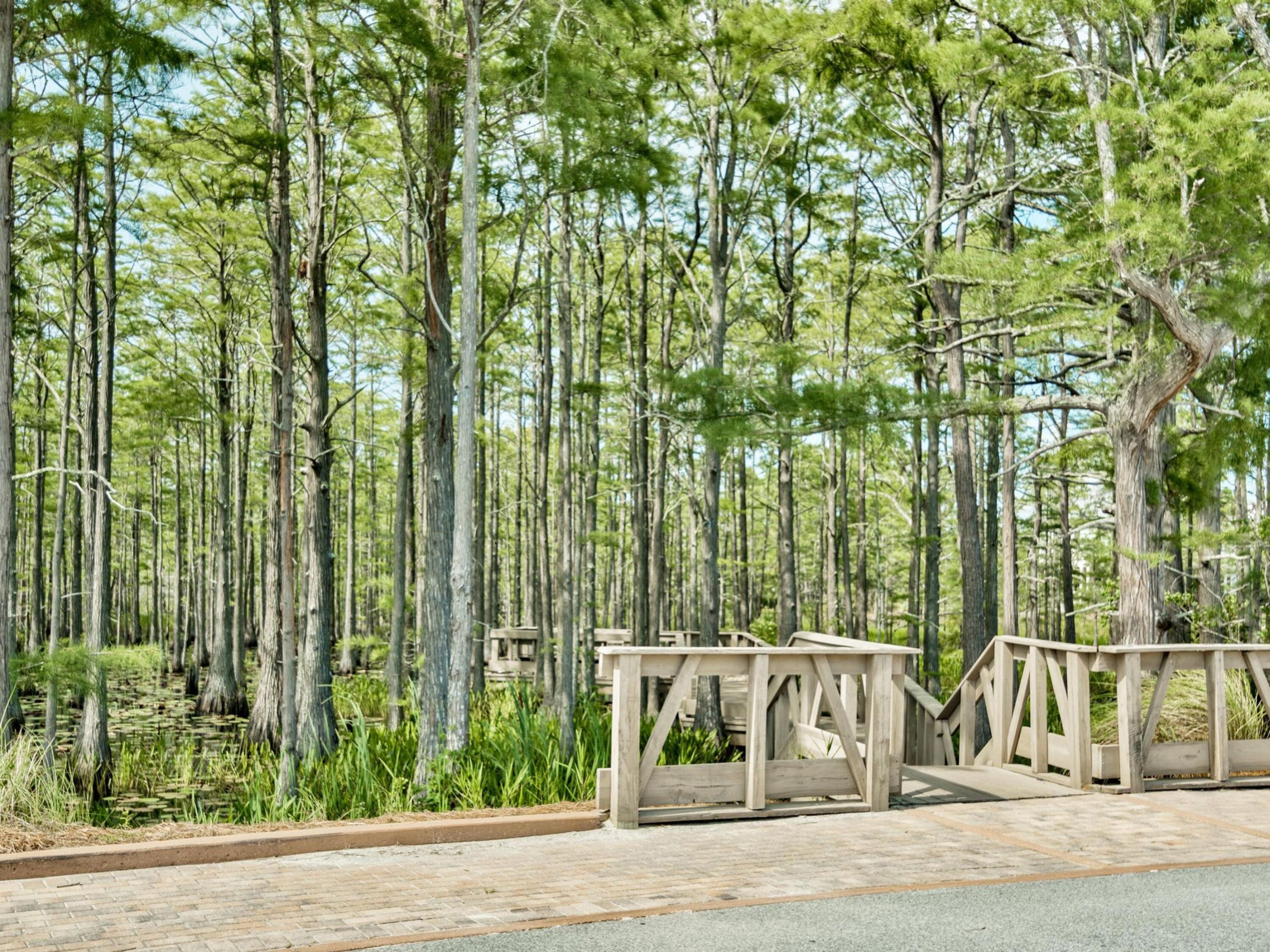 Lot 107 Cypress Walk Santa Rosa Beach, FL 32459 - Photo 24 of 42 Cypress Pond has boardwalks to enjoy