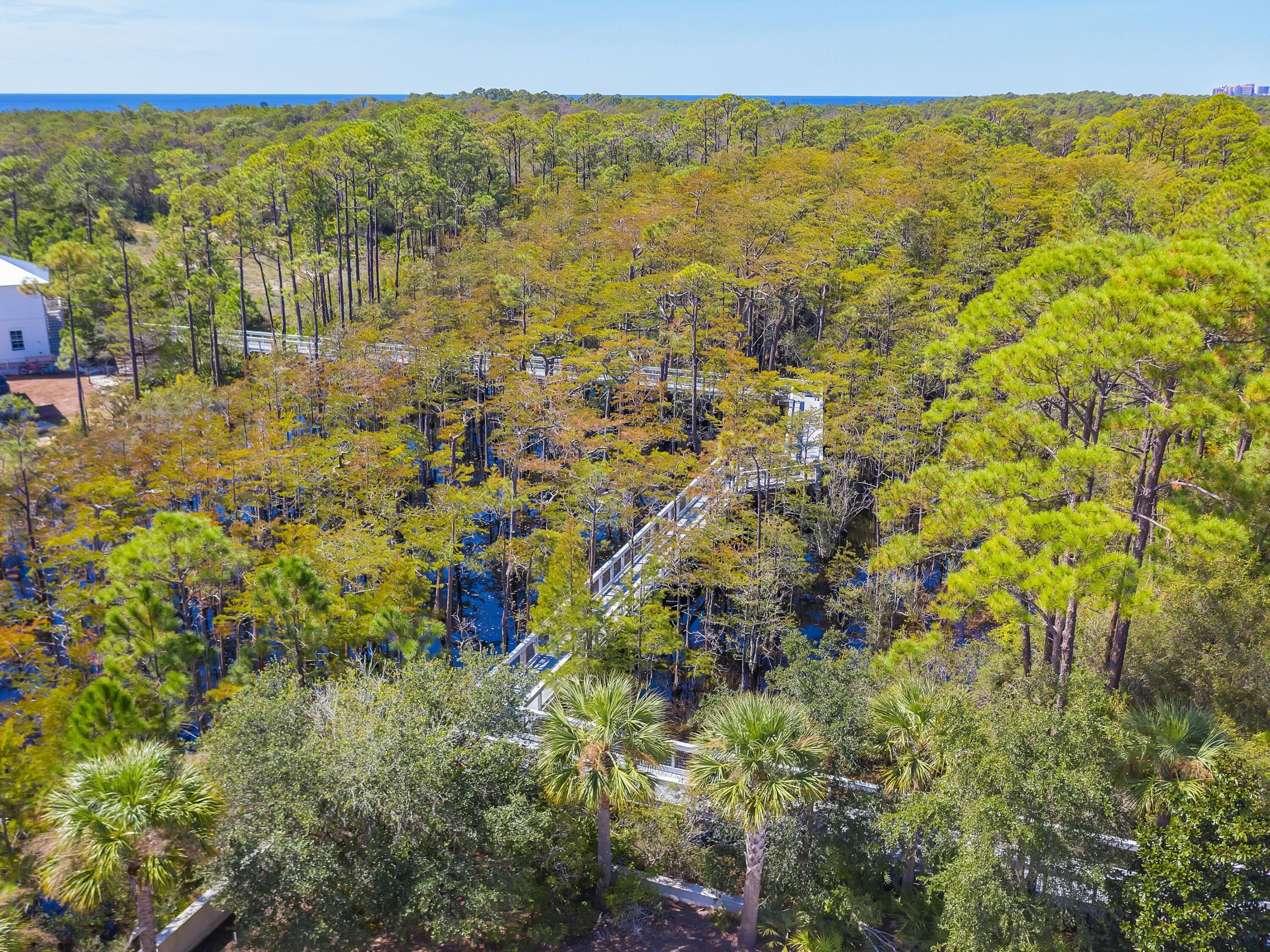 Lot 107 Cypress Walk Santa Rosa Beach, FL 32459 - Photo 35 of 42 Boardwalk through Cypress Pond