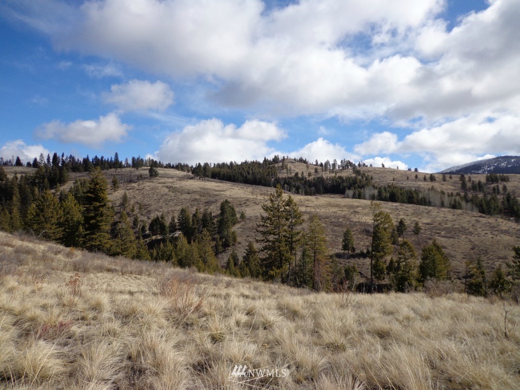 35 Lambert Mt Road Republic, WA 99166 - Photo 1 of 10 Gallery Image 1